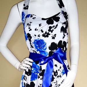 Disorderly Conduct Closet... Dress